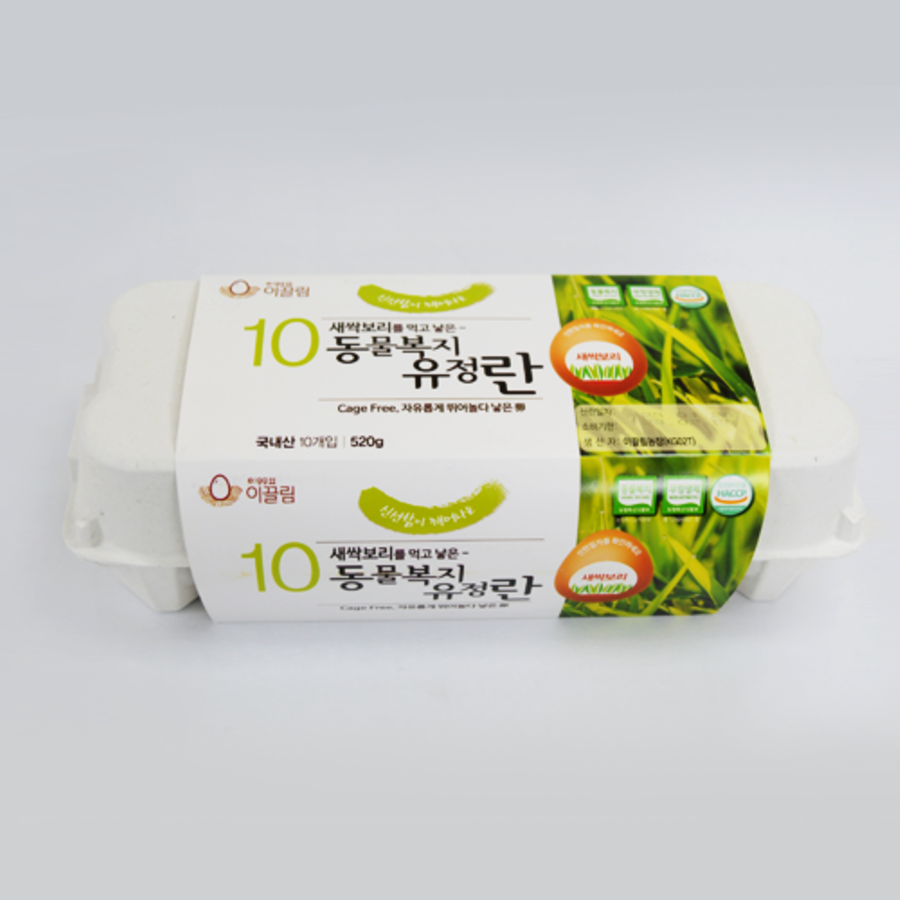 무항생제 유정란_10구