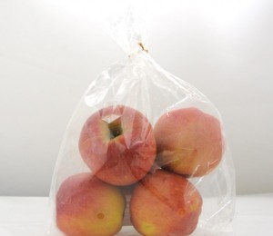 친환경 사과 1kg